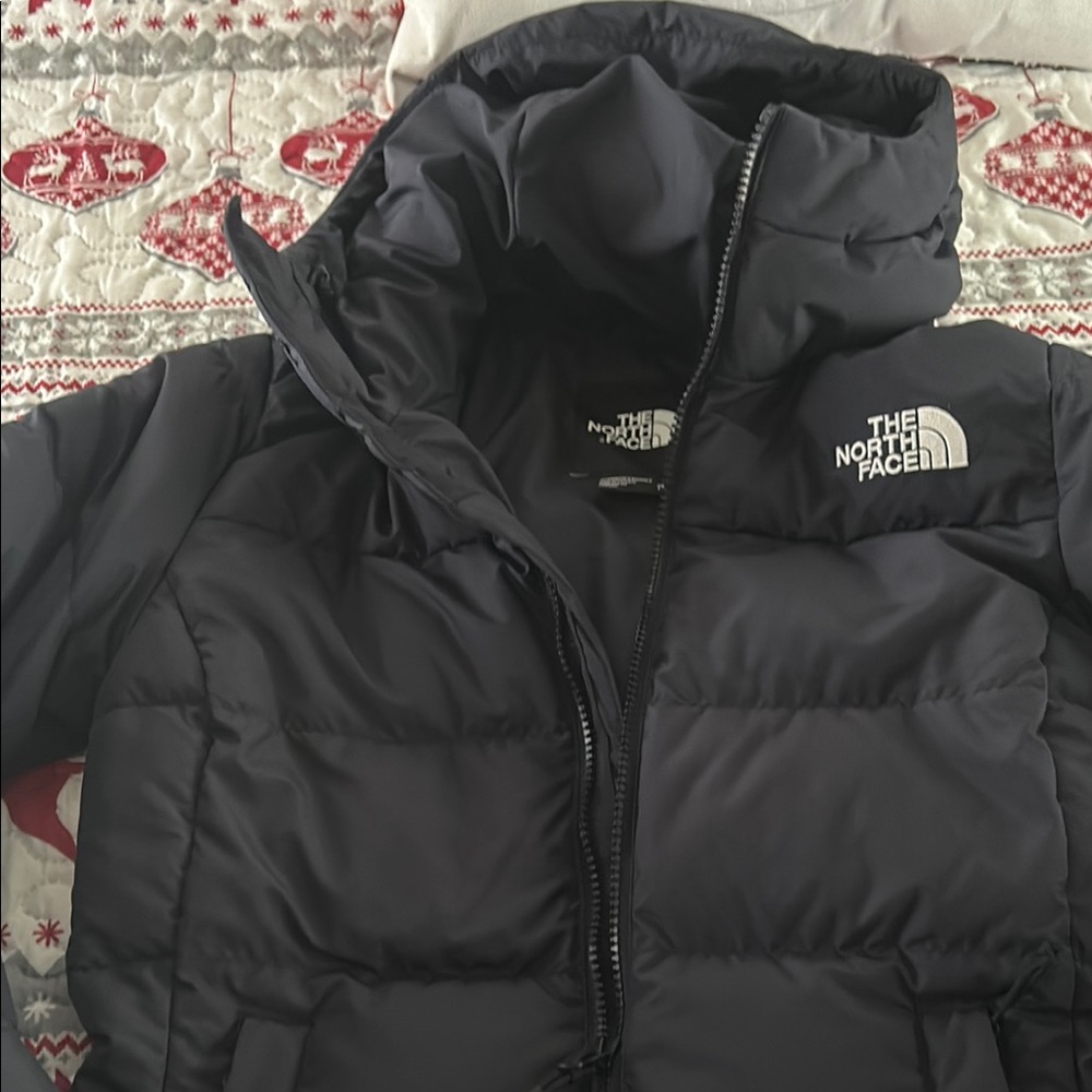 The North Face Black Puffer Jacket for Winter